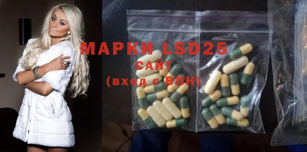 PSILOCYBIN Каменногорск