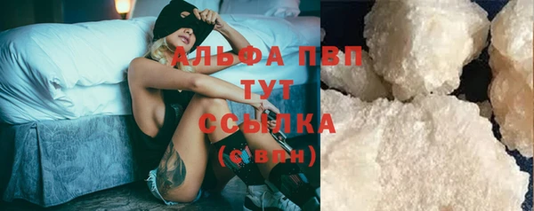 spice Инта