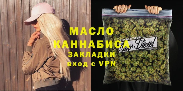 spice Инта