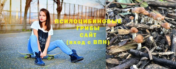 дмт Зеленокумск
