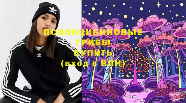 PSILOCYBIN Каменногорск