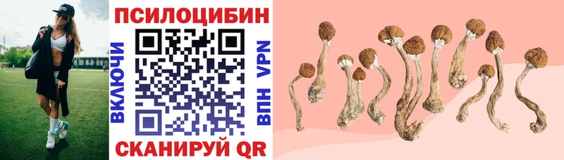 наркошоп  Карасук  Галлюциногенные грибы мицелий 