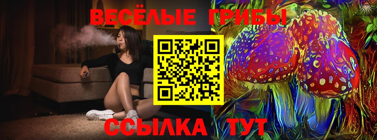 Галлюциногенные грибы мицелий  Вход с VPN  купить  цена  Карасук 